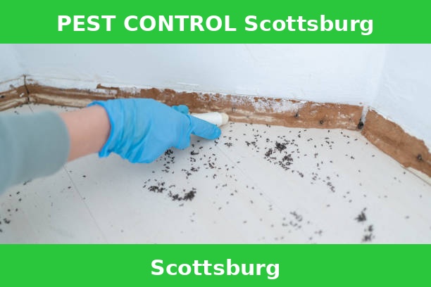 PEST CONTROL Scottsburg